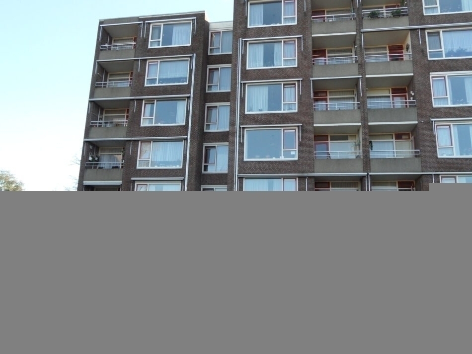 Kuiperplein Horst oud