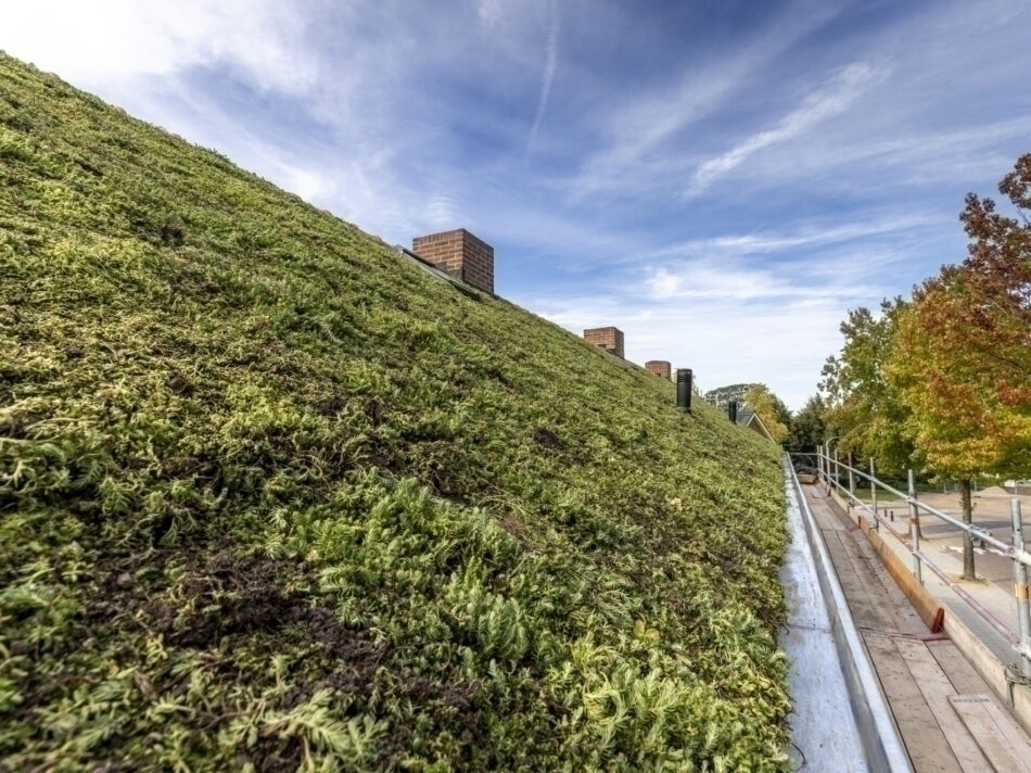 Groene hellend-dakproject