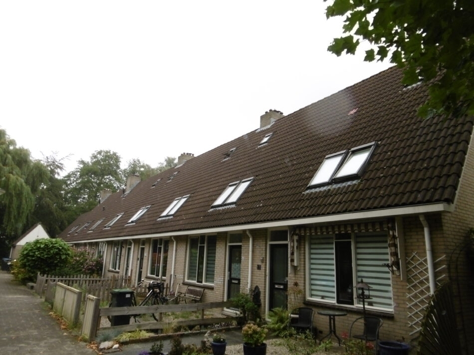 Dakramen vervangen voor Maasdelta Groep